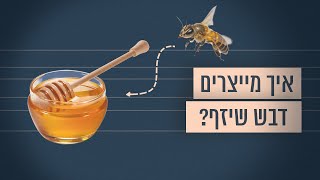 כך מייצרים את הדבש הישראלי המשובח | תוצרת ישראל