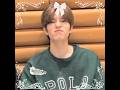 ONE POUND FISH || @just.4winnie  || #skz #stay #seungmin #kimseungmin #kpop