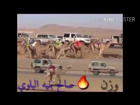 وزن ل صالح بنيه البلوي