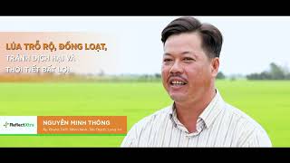 Reflect®Xtra 325SC: Nông Dân nói về việc sử dụng Reflect®Xtra 325SC ở thời ký nuôi đòng Profile