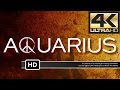 Aquarius Season 2 Episode 3 FULL EPISODE