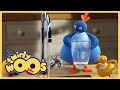 Twirlywoos Türkçe | Tam | Sezon 1 Bölüm 1 | Çocuklar İçin Çizgi Filmler