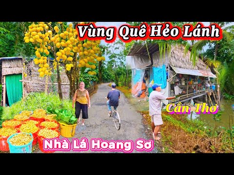 Đường Làng Quê Vắng Lặng Cuộc sống Quê Yên ả hiếm Gặp Nhà Lá Hoang Sơ phong Điền Cần Thơ 