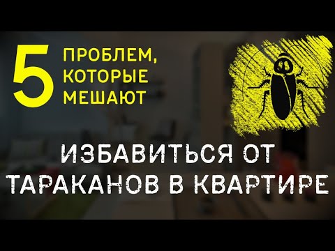 ТАРАКАНЫ В КВАРТИРЕ СНОВА И СНОВА — ПОЧЕМУ?