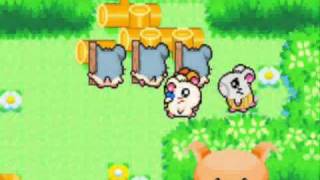 Let's Play: Hamtaro Rainbow Rescue 21 - Hamtaro and Bijou