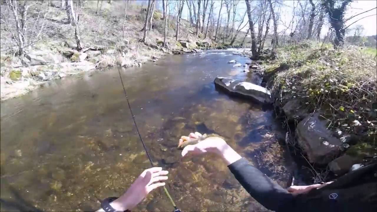 La pêche de la truite à la cuiller 