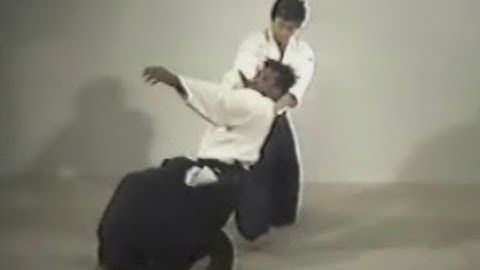 Aikido - 33 - Shomenuchi Shihonage