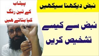 05# Israr Ul Nabaz | Learn Health Tip Qanoon Mufrad Aza | Urdu Hindi