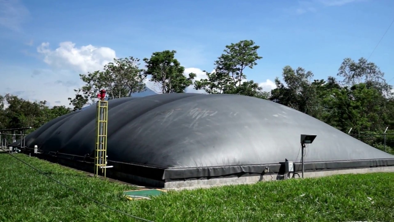 Biodigestor para suero de leche - dairy digester - biogas