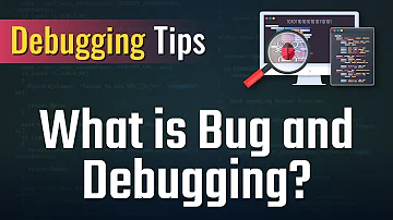 Cosa fa il debugger?