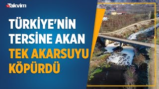 Türkiyenin Tersine Akan Tek Akarsuyu Olan Tersakan Çayı Kirlilikten Köpürdü