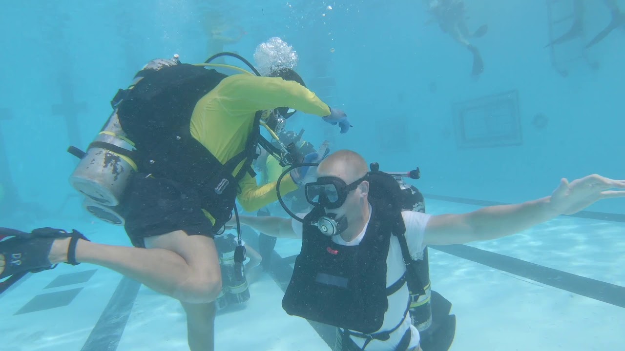 Navy Dive School Pool Hits 19602C YouTube