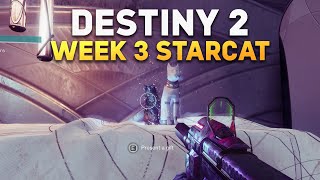 Gnashing Chamber Starcat Collectible Location - Destiny 2: Season of the Wish