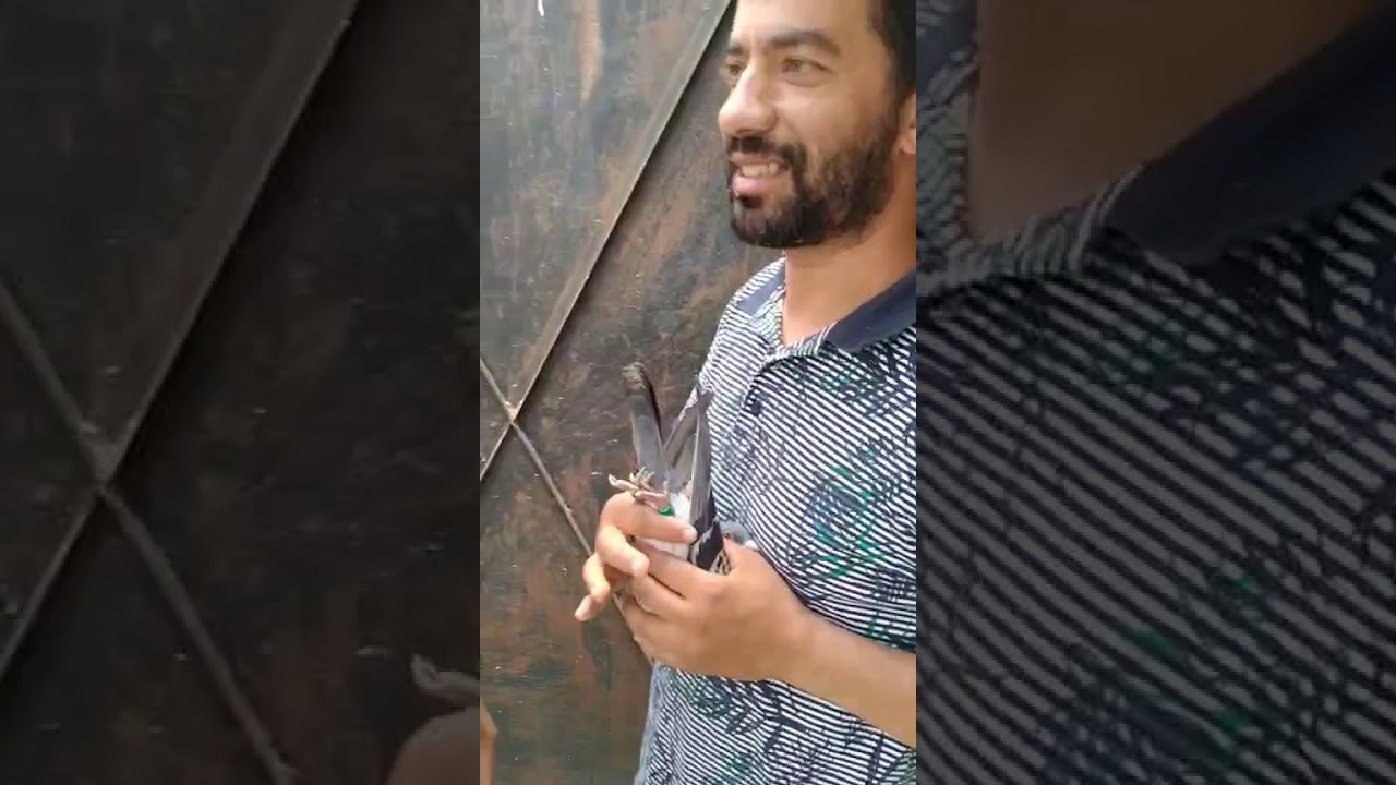 توليعة خفيفة عندالبطل الكبير موكريم بطل عصبة الشاوية برفقة البطل رزقي يونس