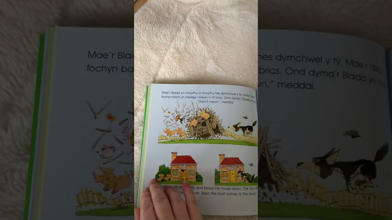 Welsh bilingual reading of Y tri mochyn bach - NDNA Cymru