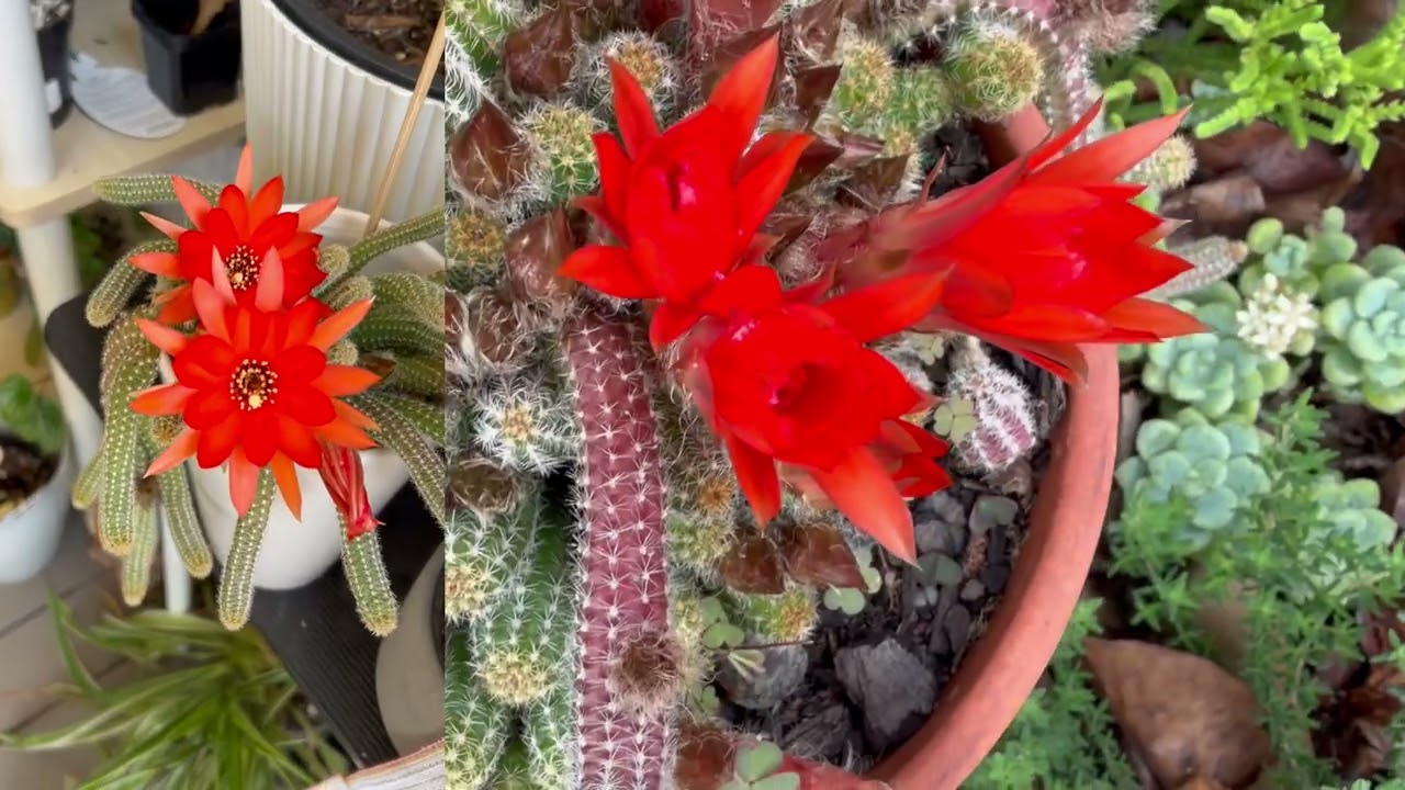 Update on Spring changes and progress check