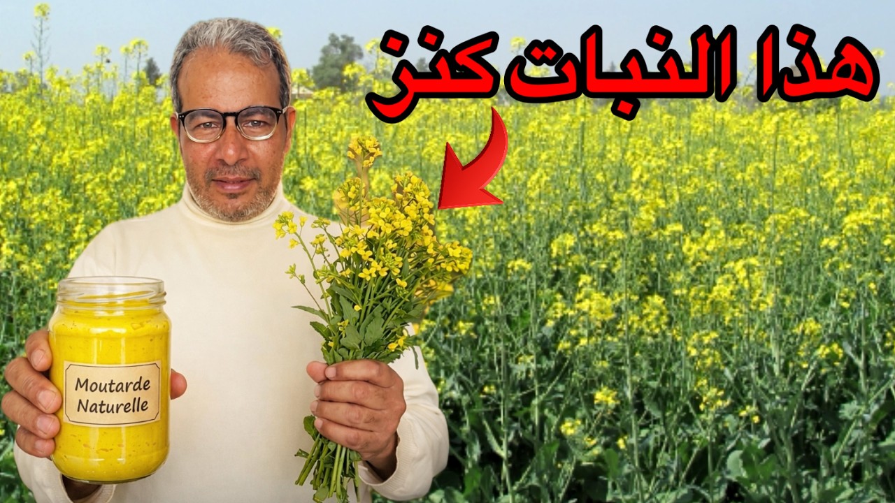 Latest Title & Thumbnail