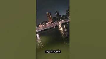 فكرت ايامي وقلت ياحسرة Shorts 