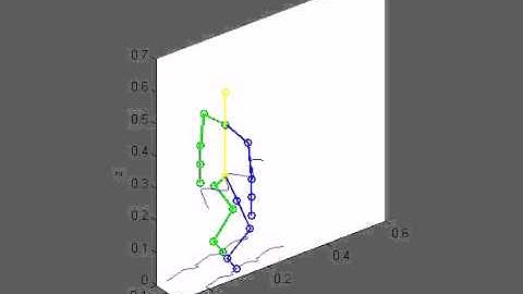 NAO robot Diagonal walk-simulation