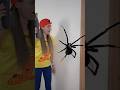OMG Super Giant SPIDERin Room Shorts By Super Max2025 OMG Super Giant SPIDERin Room Shorts By Super Max2025