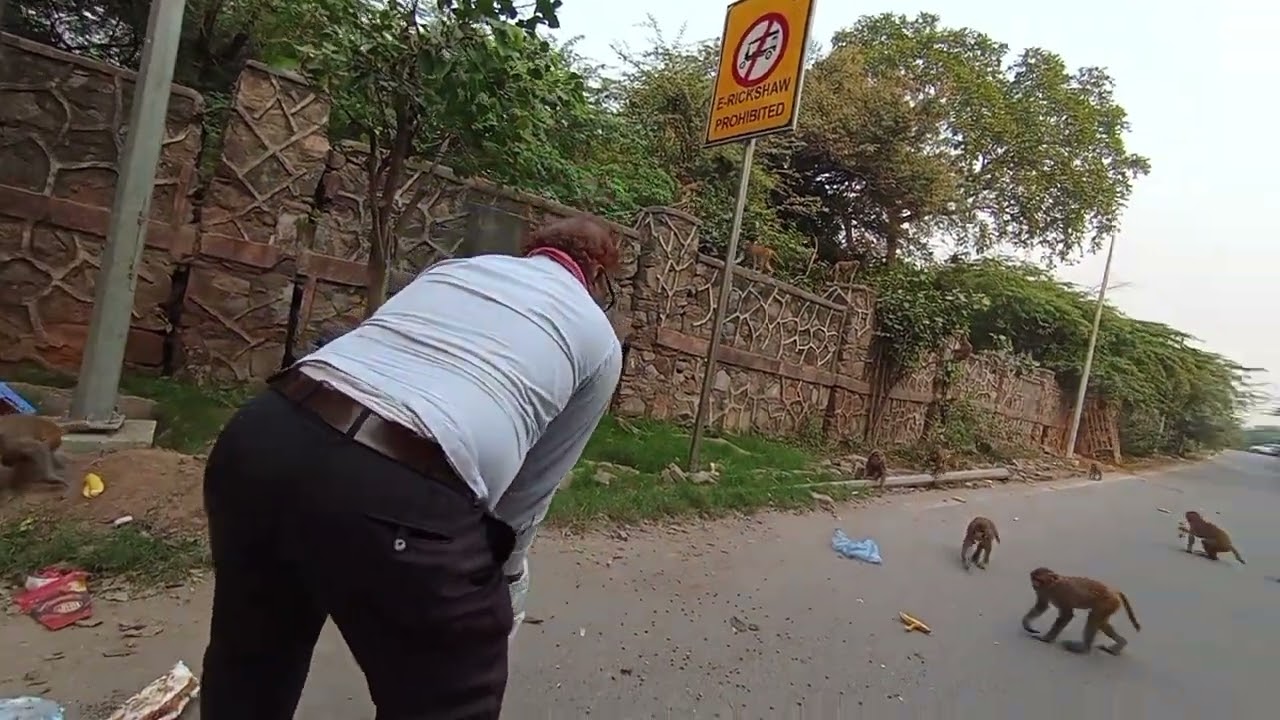 Helping animals by providing food | Delhi only largest forest which is known as ridge | 