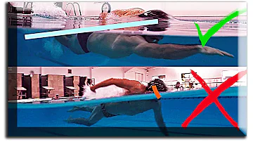 ¿Qué estilo de natación es el más rápido?