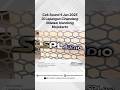 Cek sound RBL Audio 4Januari2025 #splaudiosurabaya #soundsystem #splaudio