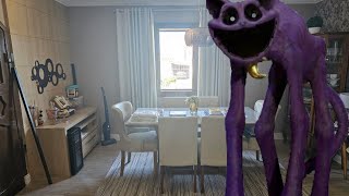 Catnap Envadou Minha Casa