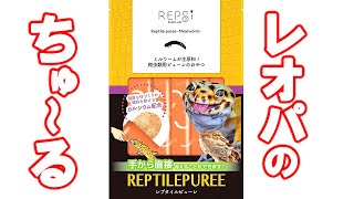 【可愛すぎる！】マルカン レプタイルピューレ ミルワームをあげてみたら反応が予想外だった、、【製品レビュー】