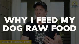Why Do I Feed A Raw Diet To My Dogs - Dog Training Tips