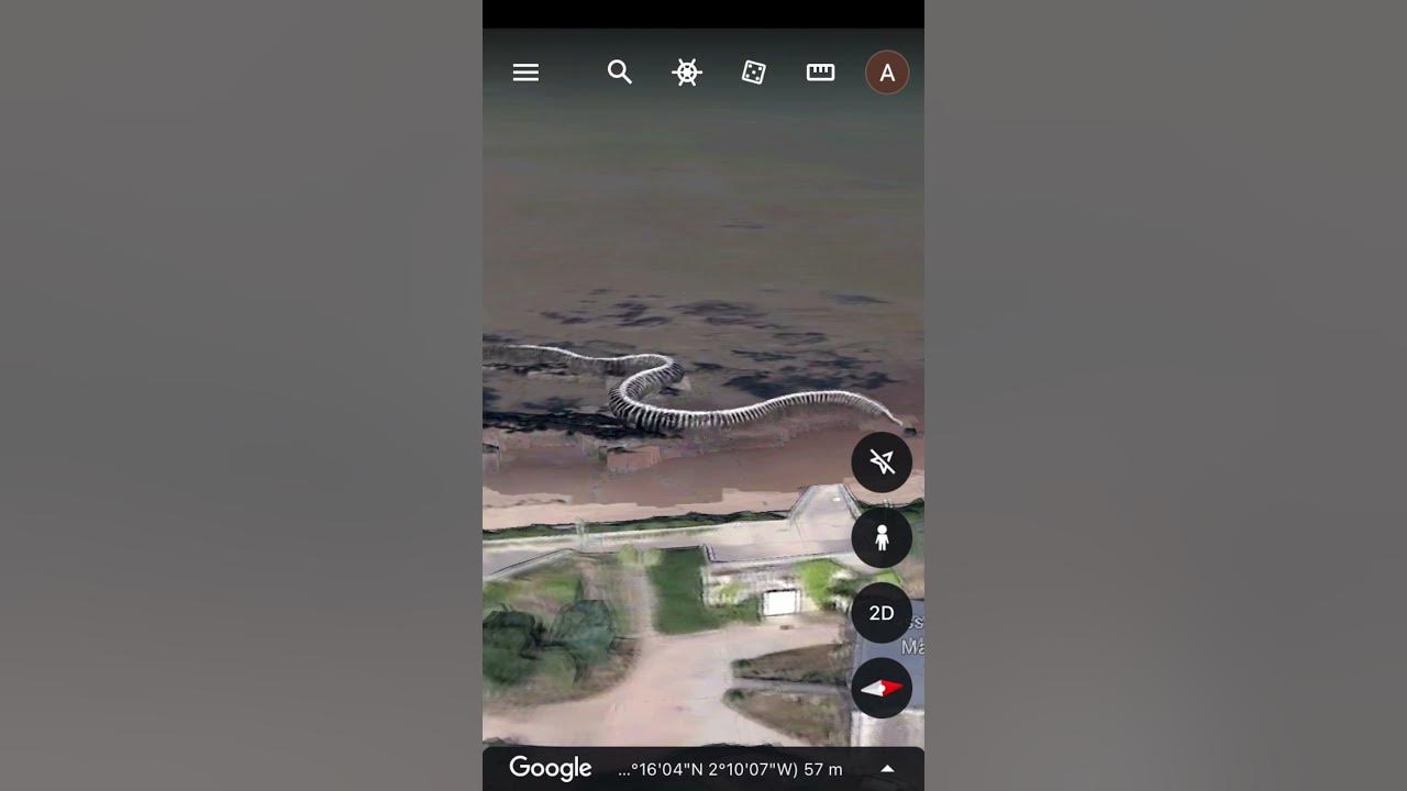 Esqueleto gigante de cobra encontrado no Google Maps gera polêmica sobre  serpente pré-histórica - AmargosaNews