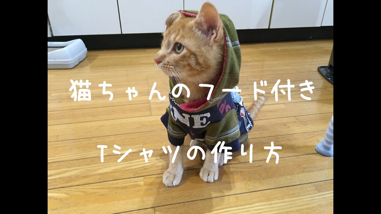 猫ちゃんのフード付きtシャツの作り方 作ってみよう Diy 型紙あります Youtube