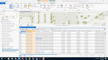 Advanced Capabilities of the Utility Network