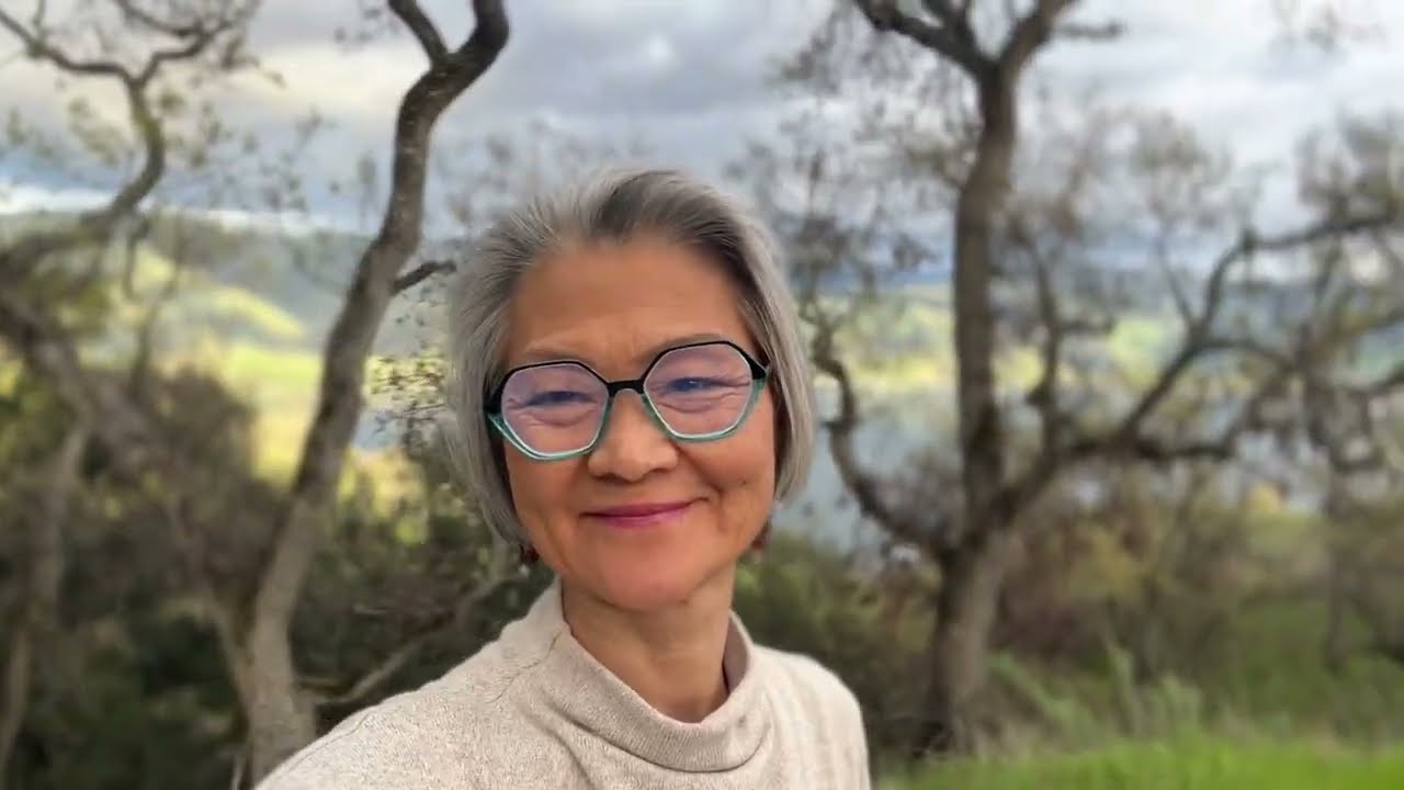 Tourist at home Pleasanton Livermore library voiceover asmr