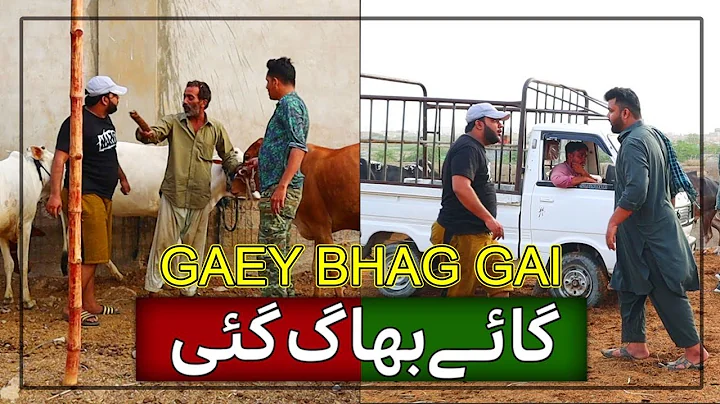 | GAEY BHAG GAI PRANK | By Nadir Ali & Jaffar Mastana in | P4 Pakao | 2021