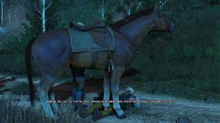 Roach being Roach | The Witcher 3: Wild Hunt - Complete Edition Profile