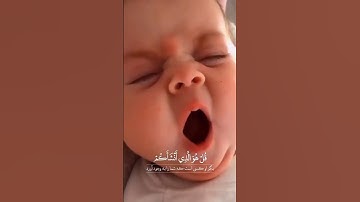 سوره مبارکه ملک، آیات ۲۲ تا ۲۷🔹️گوینده: بهروز رضوی 🔹️مترجم: مسعود ریاعی