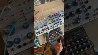 Buchla and Make Noise 0-Ctrl