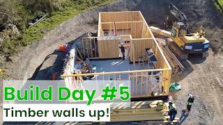 Timber Frame Walls Go Up! Our off-grid self build home in Wales
