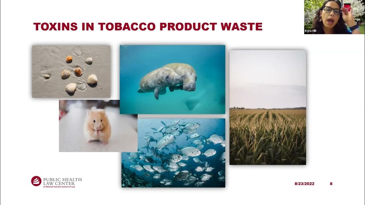 The Ongoing Battle Against Tobacco Product Waste Updates on Research