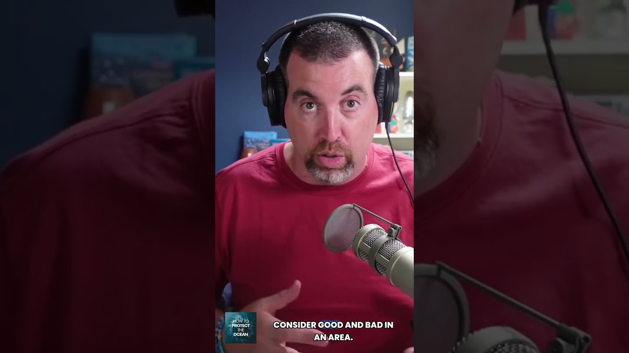 Great whites: the ocean’s ecosystem architects 🦈