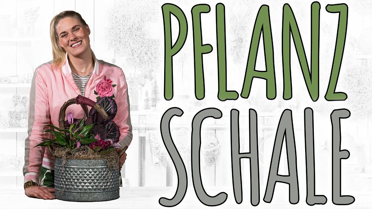 PFLANZSCHALE FR INNEN MUSS JA NICHT IMMER NUR GRN SEIN - DIY