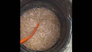 Keeping drains flowing