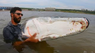 The Biggest Swimbait Fish Caught On Youtube? In The World?