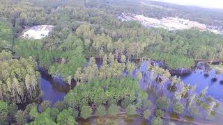 Hurricane Helene Aftermath (Crystal River, Fl) 09/27/2024