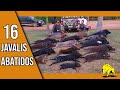 16 Javalis abatidos🐗  É tiro que não acaba mais!!! Caçada dos Guapos nao brica em serviço🐗💪