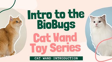 Intro to the BioBugs Cat  Wand Toy Series