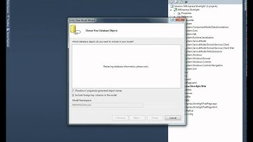 Entity Framework + RiaServices + DataForm Silverlight  1-3