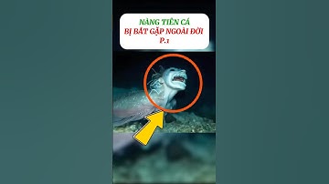 [P.1] Sự thật nàng tiên cá ngoài đời thật #shorts