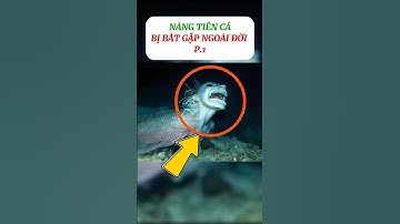 [P.1] Sự thật nàng tiên cá ngoài đời thật #shorts